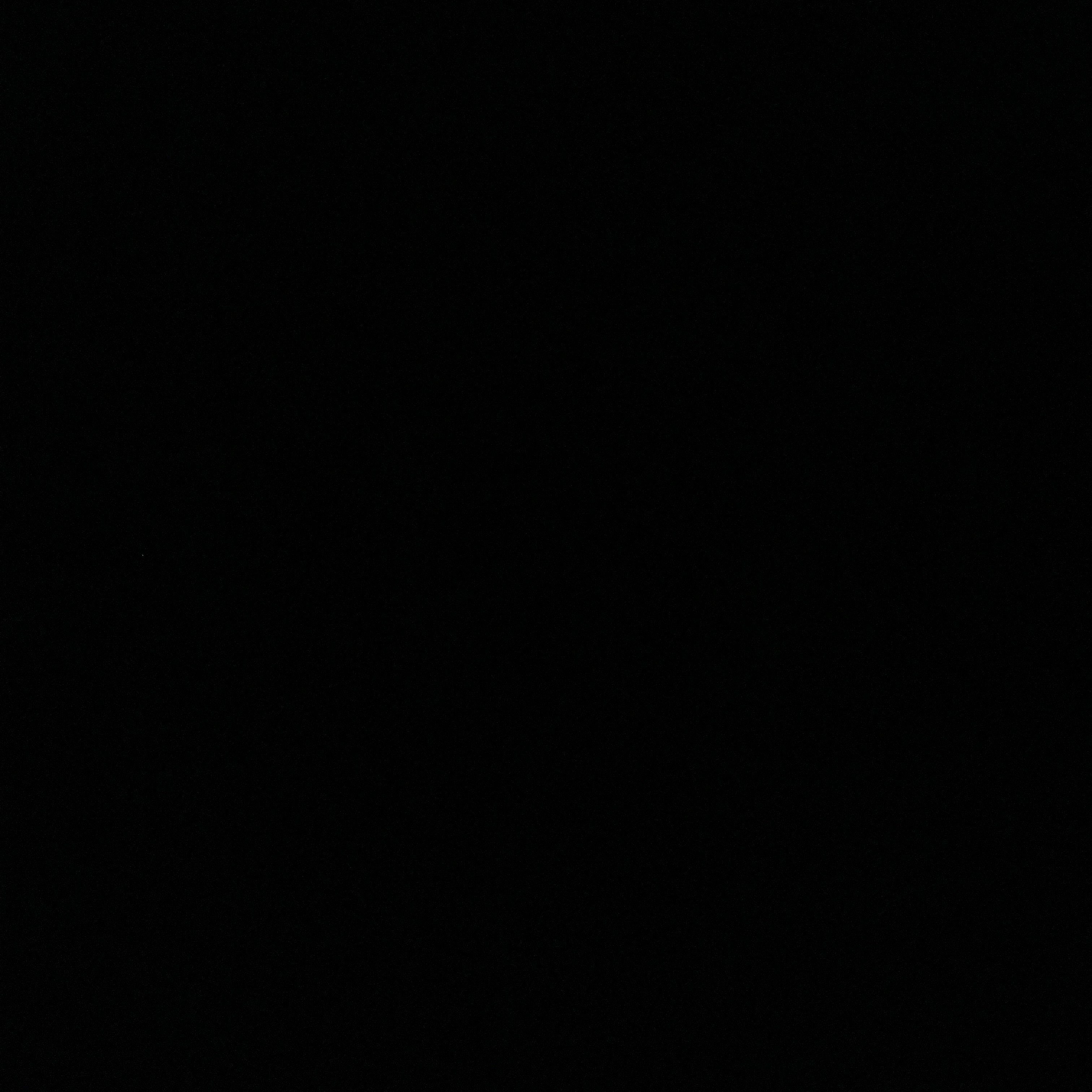 sani3019