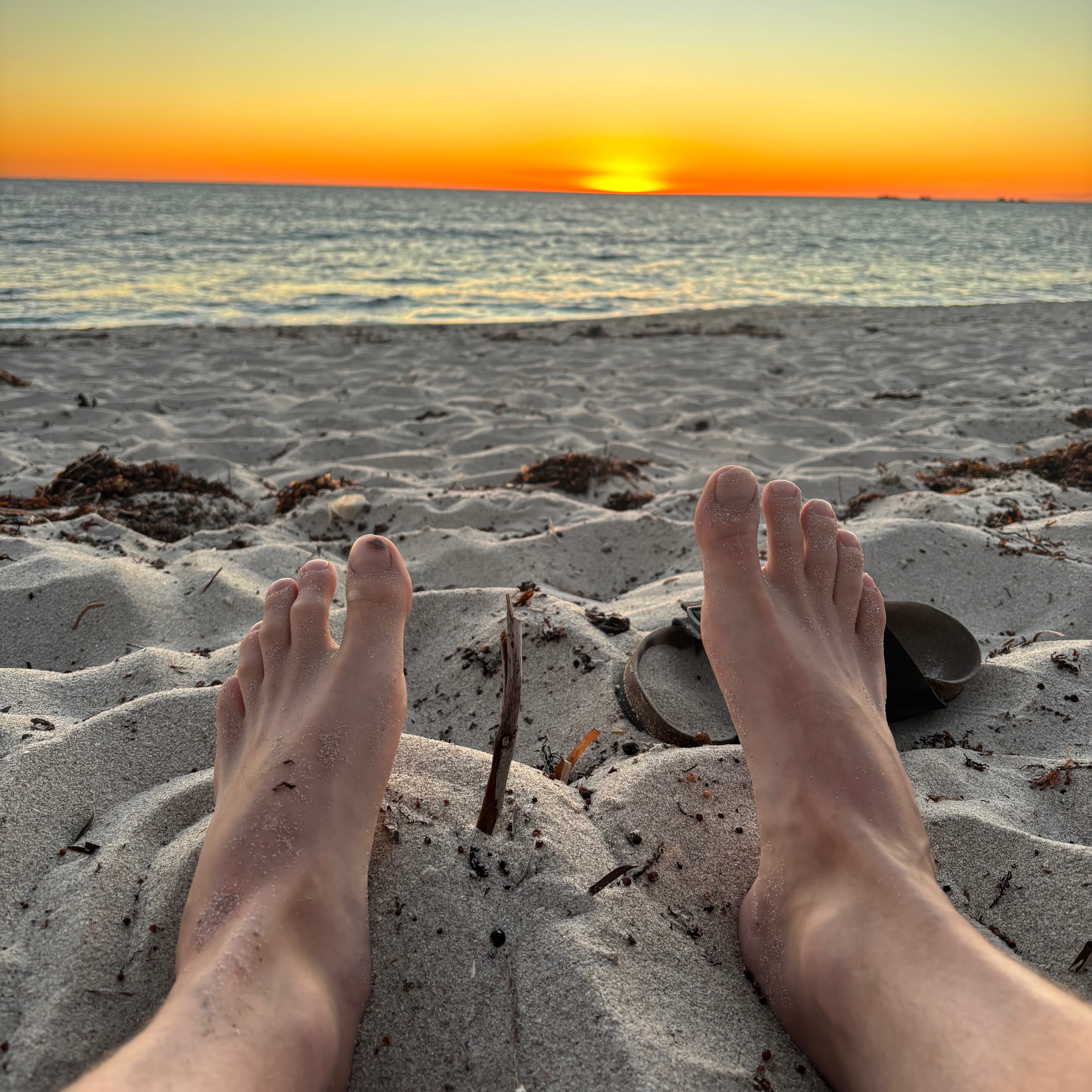 Aussietoes