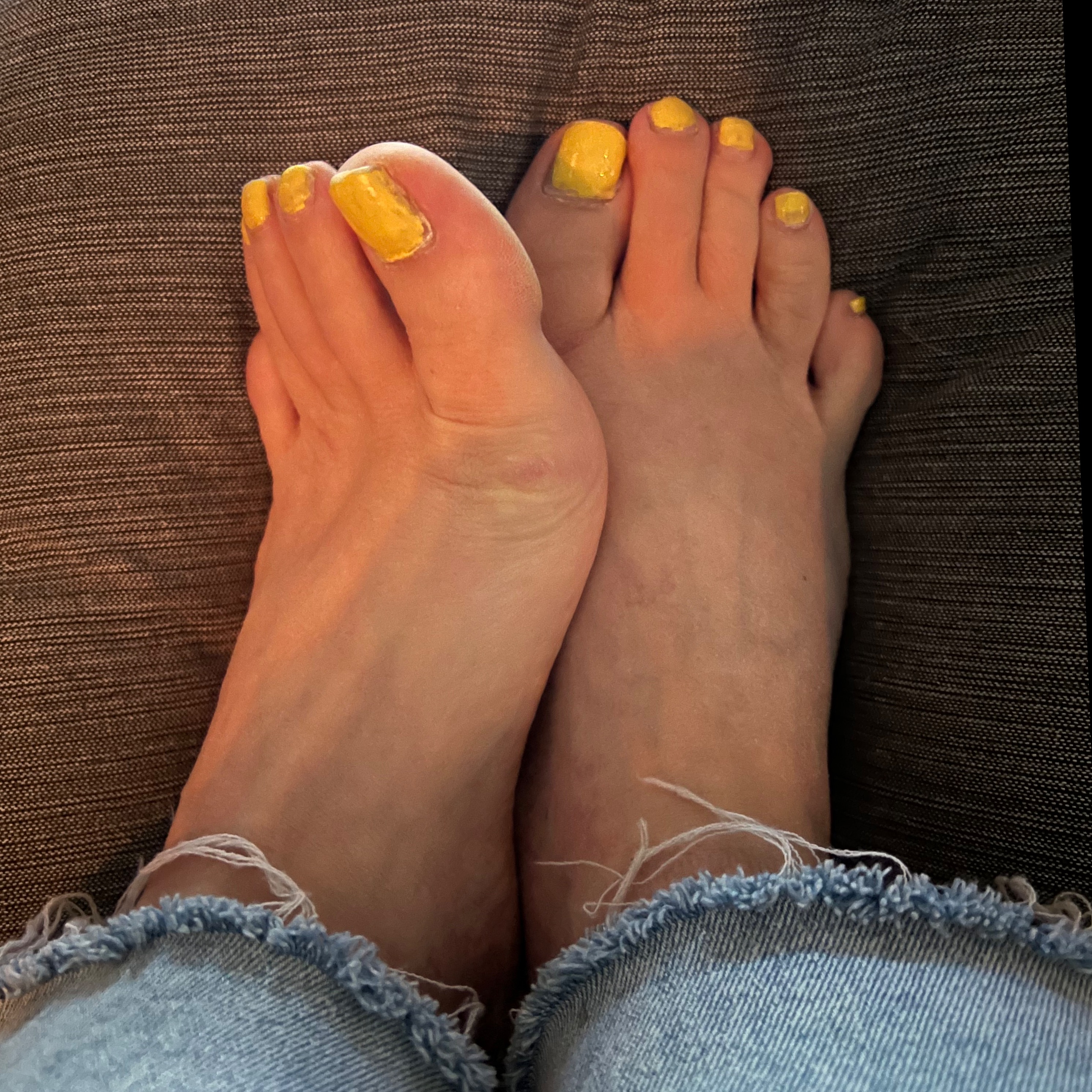 Arctictoes26