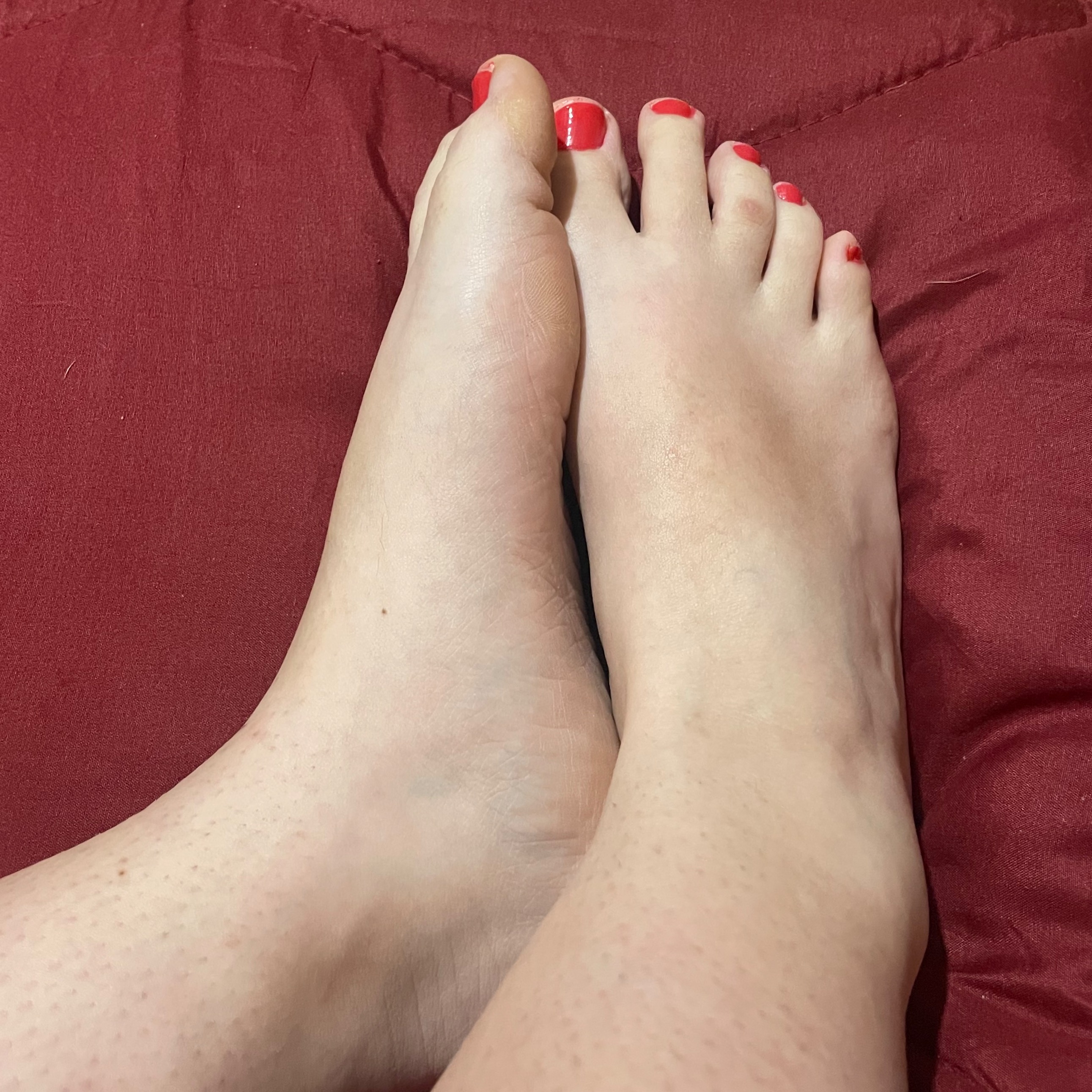 Rosaliapapi003