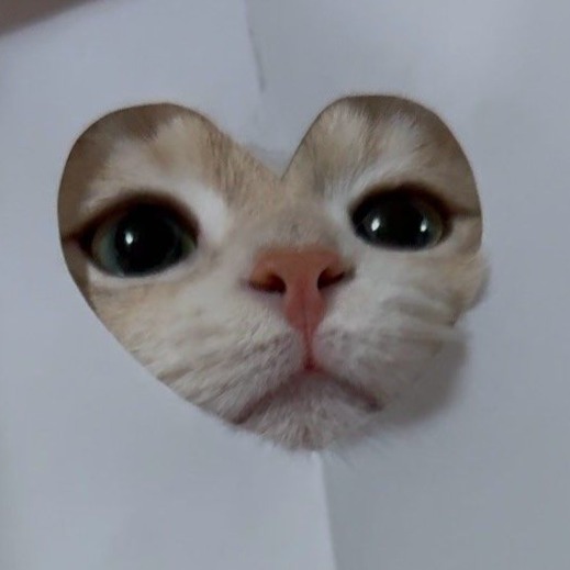 pawmazing