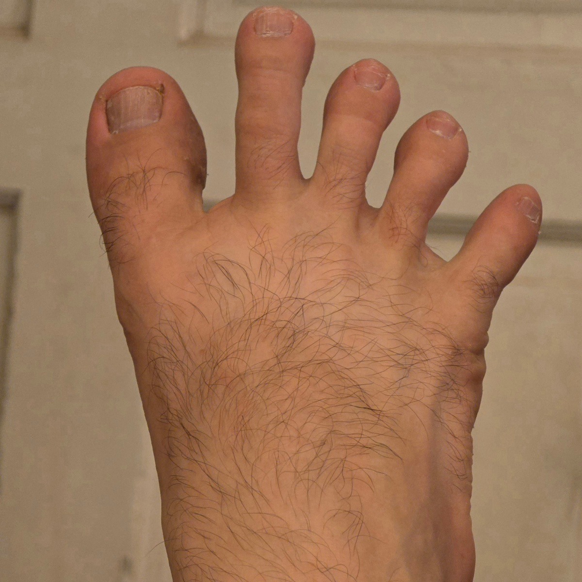 hobbitfeet4u
