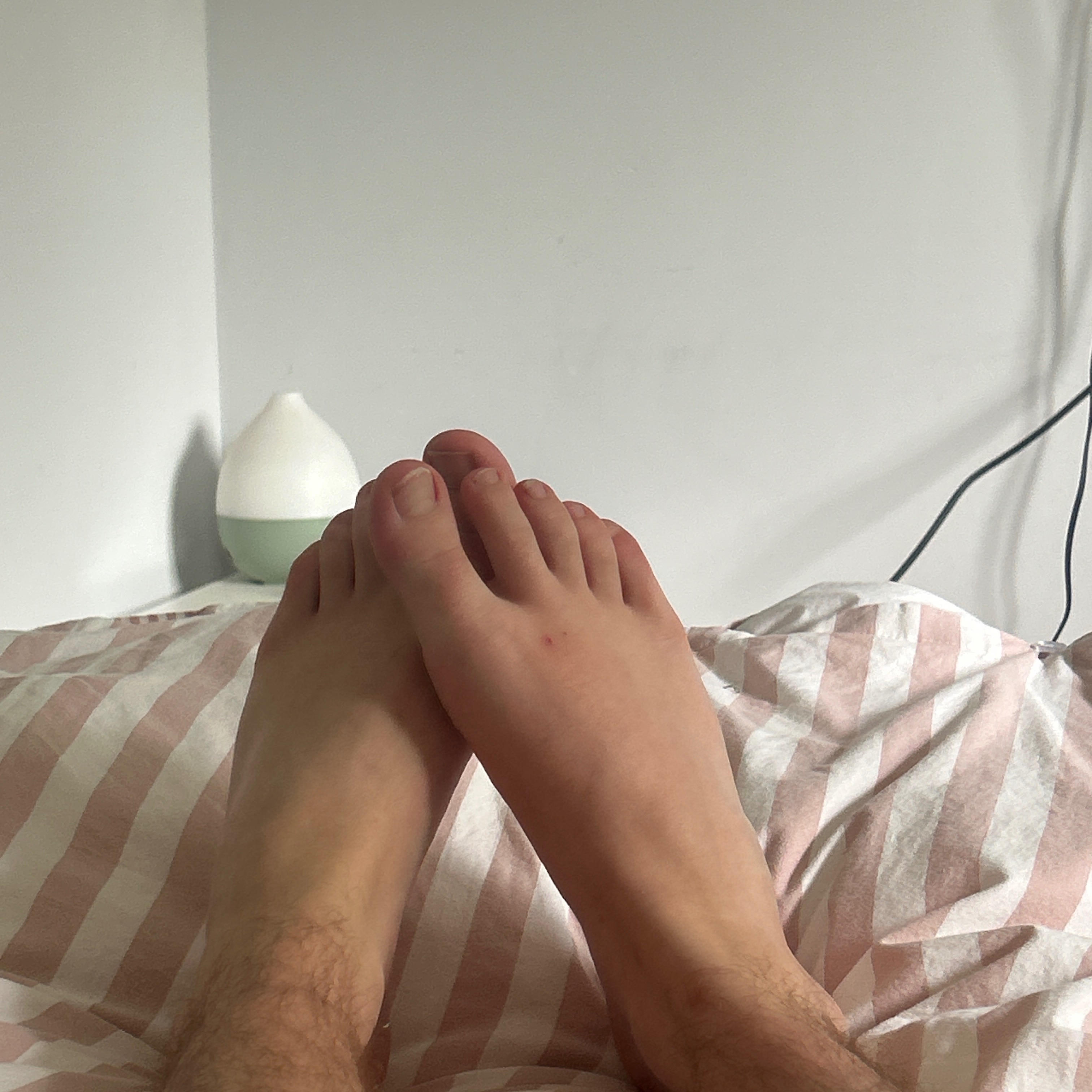 Mfeets11x