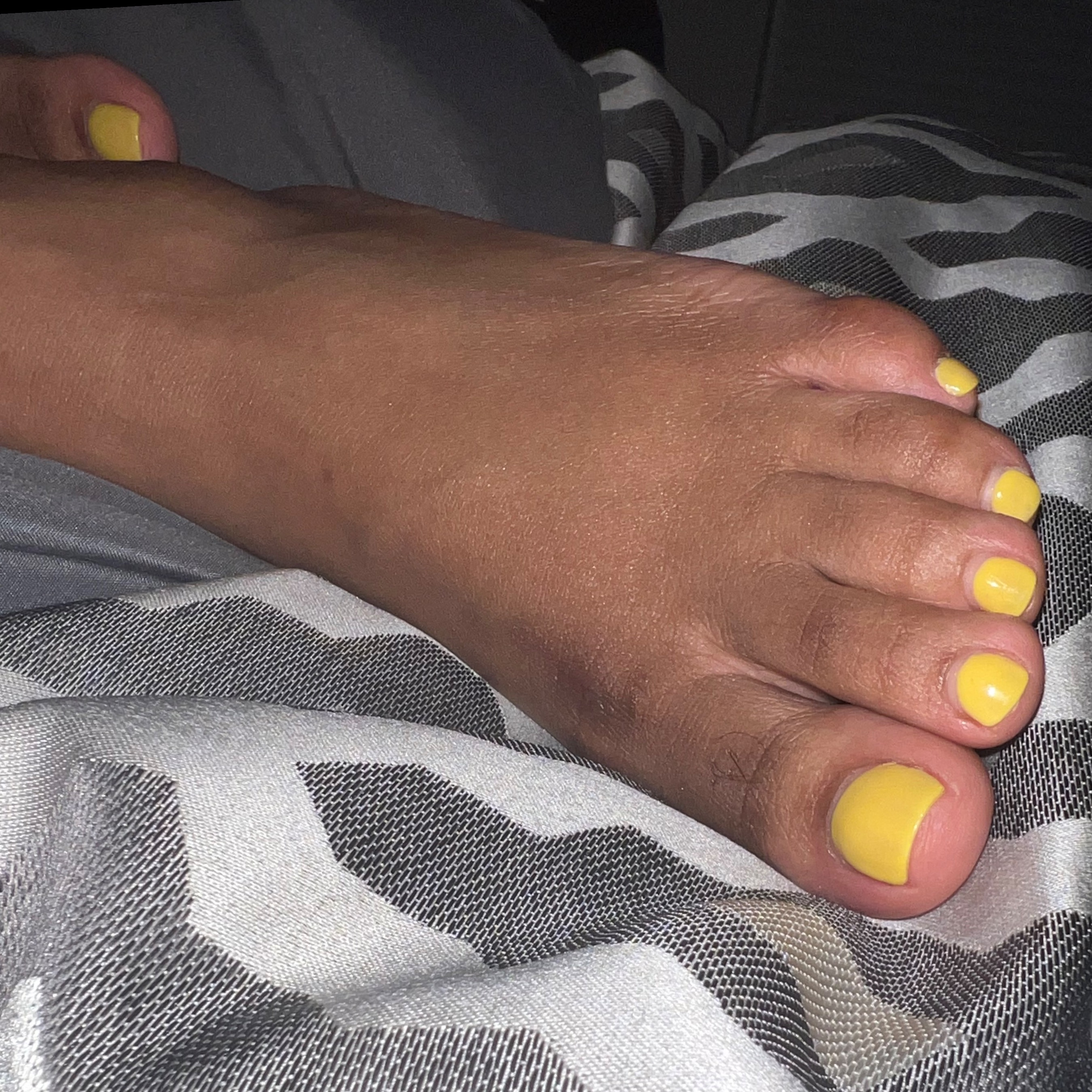 Cutelilpiggy1