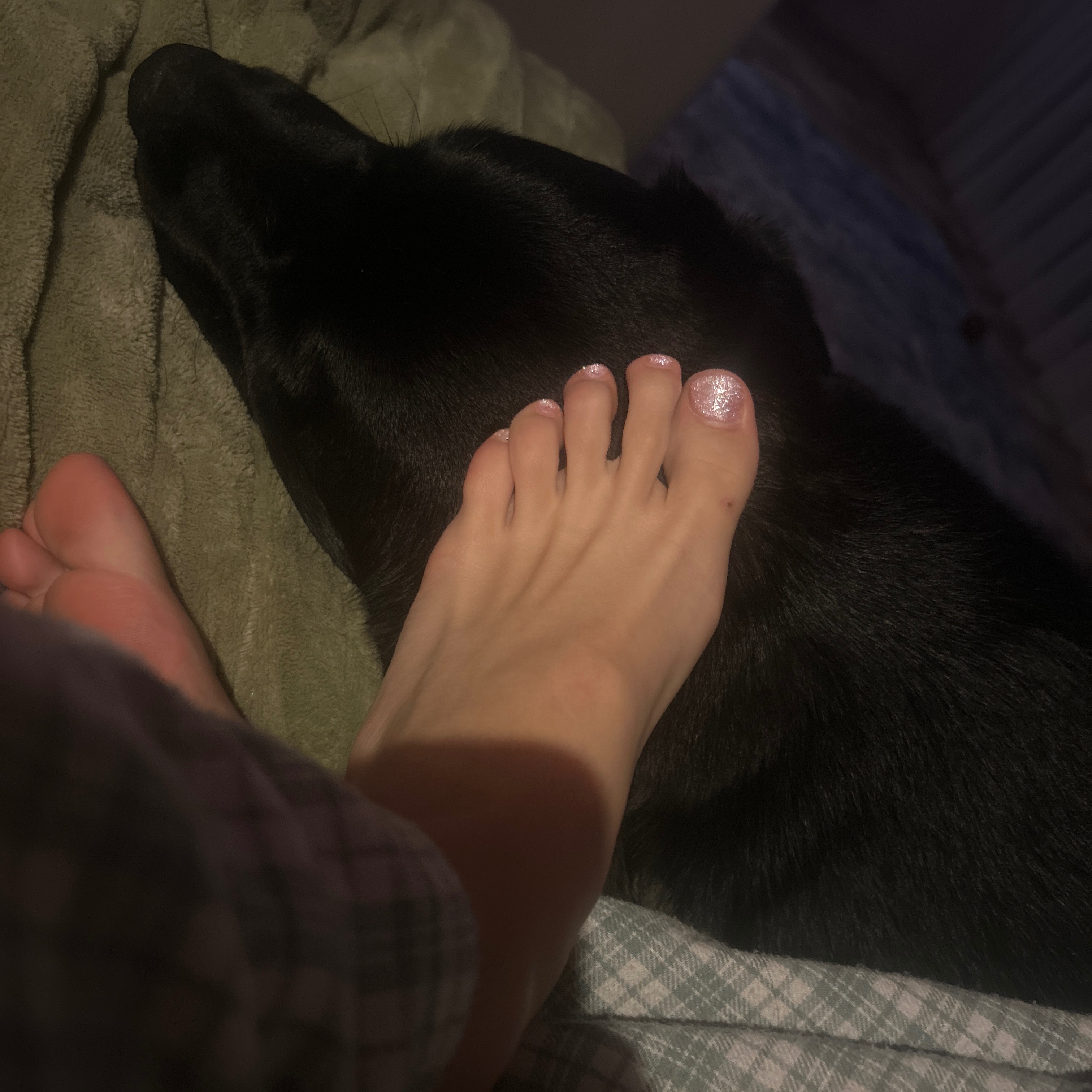 Onlyfeetfornow