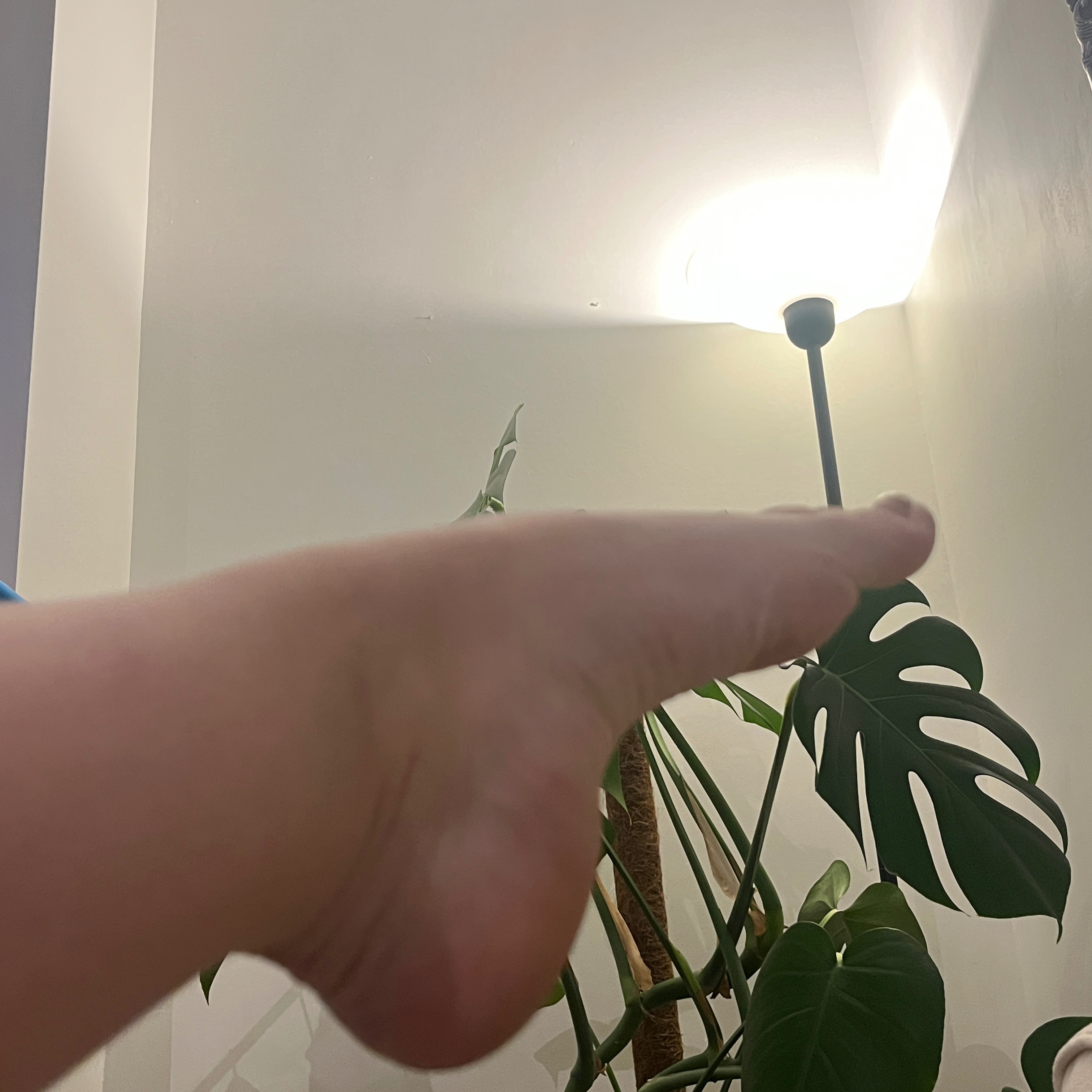 ballet_toes69