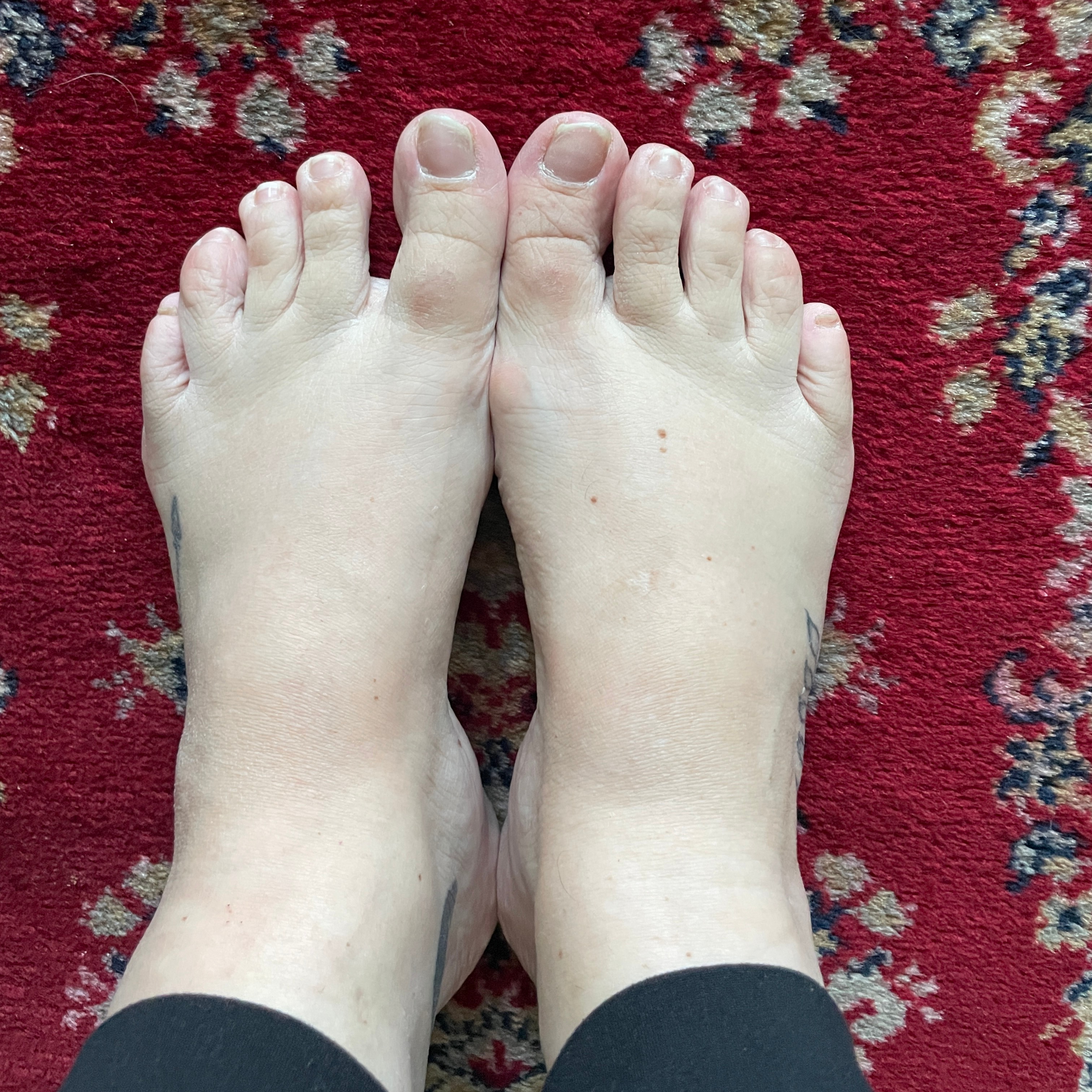 barefootdaizy