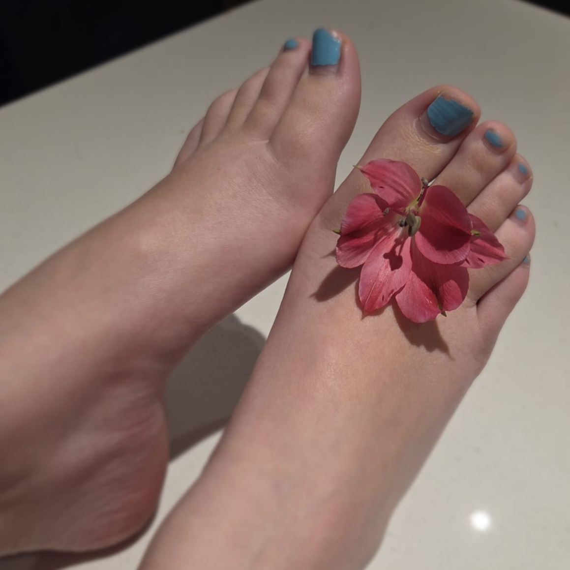 Prettypiggiesxo