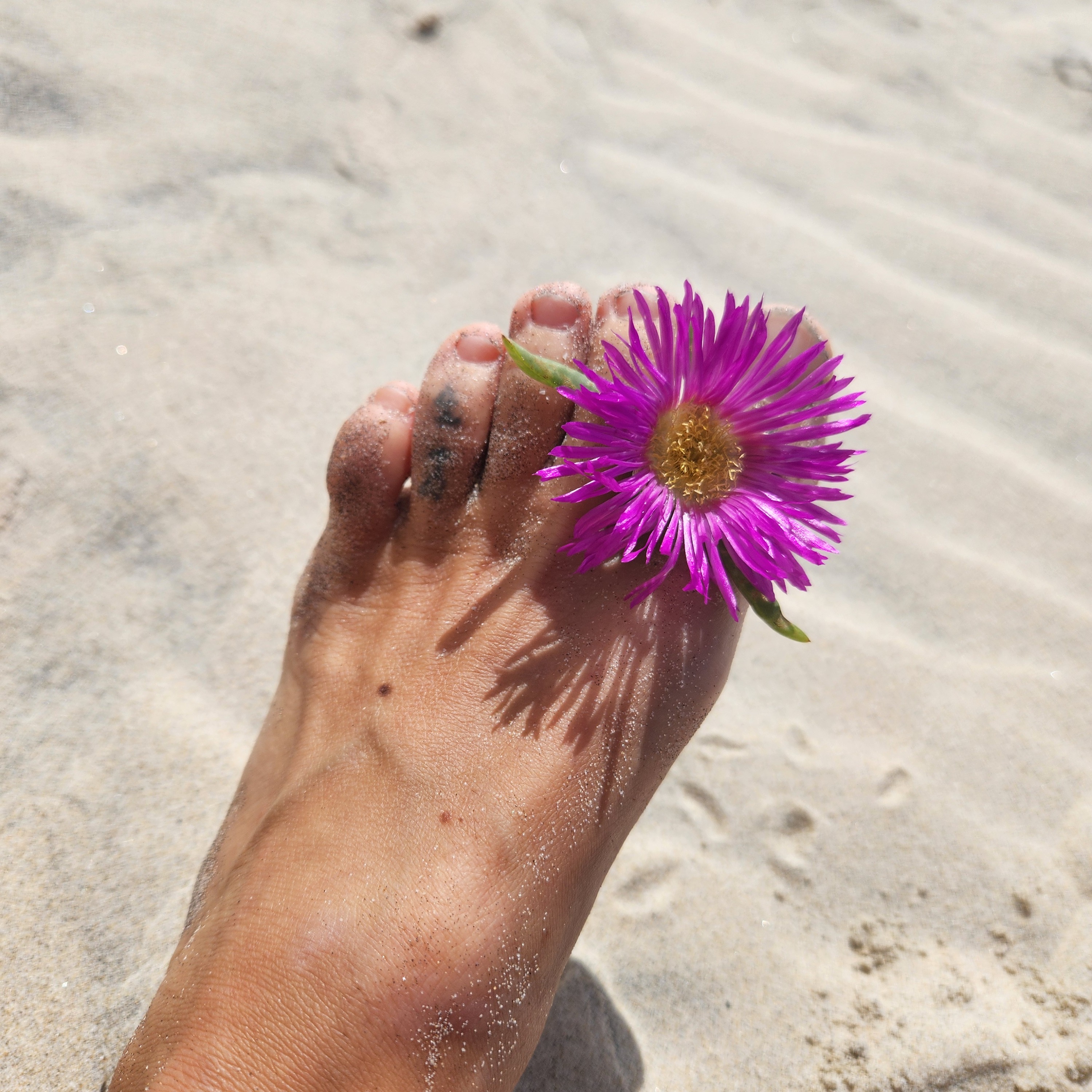 Bare_tide_muse