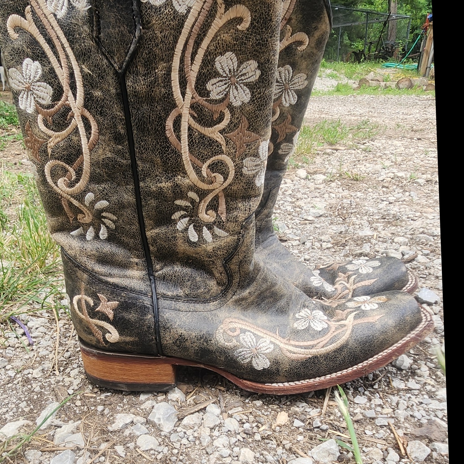feralfarmerfeet