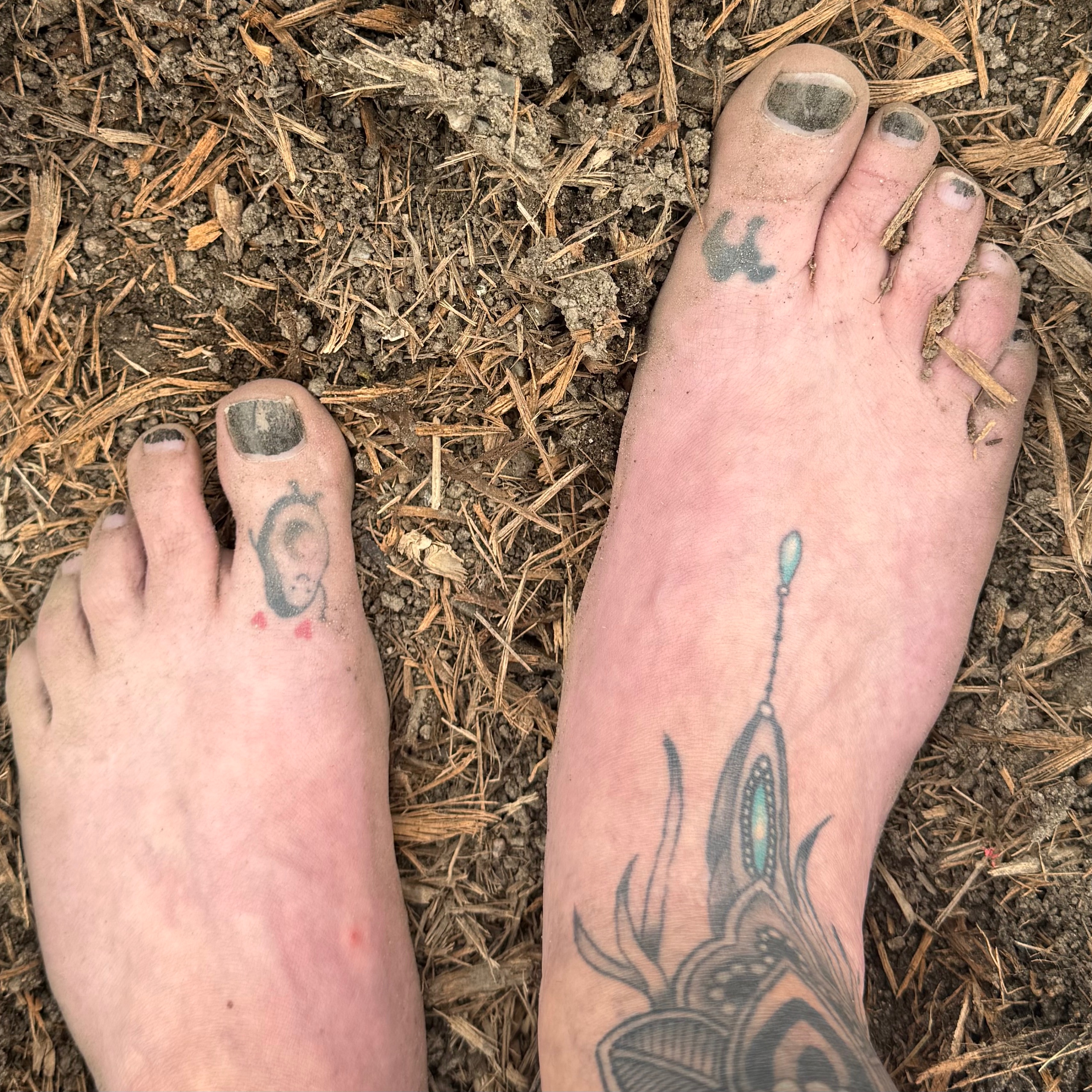 UntamedSoles