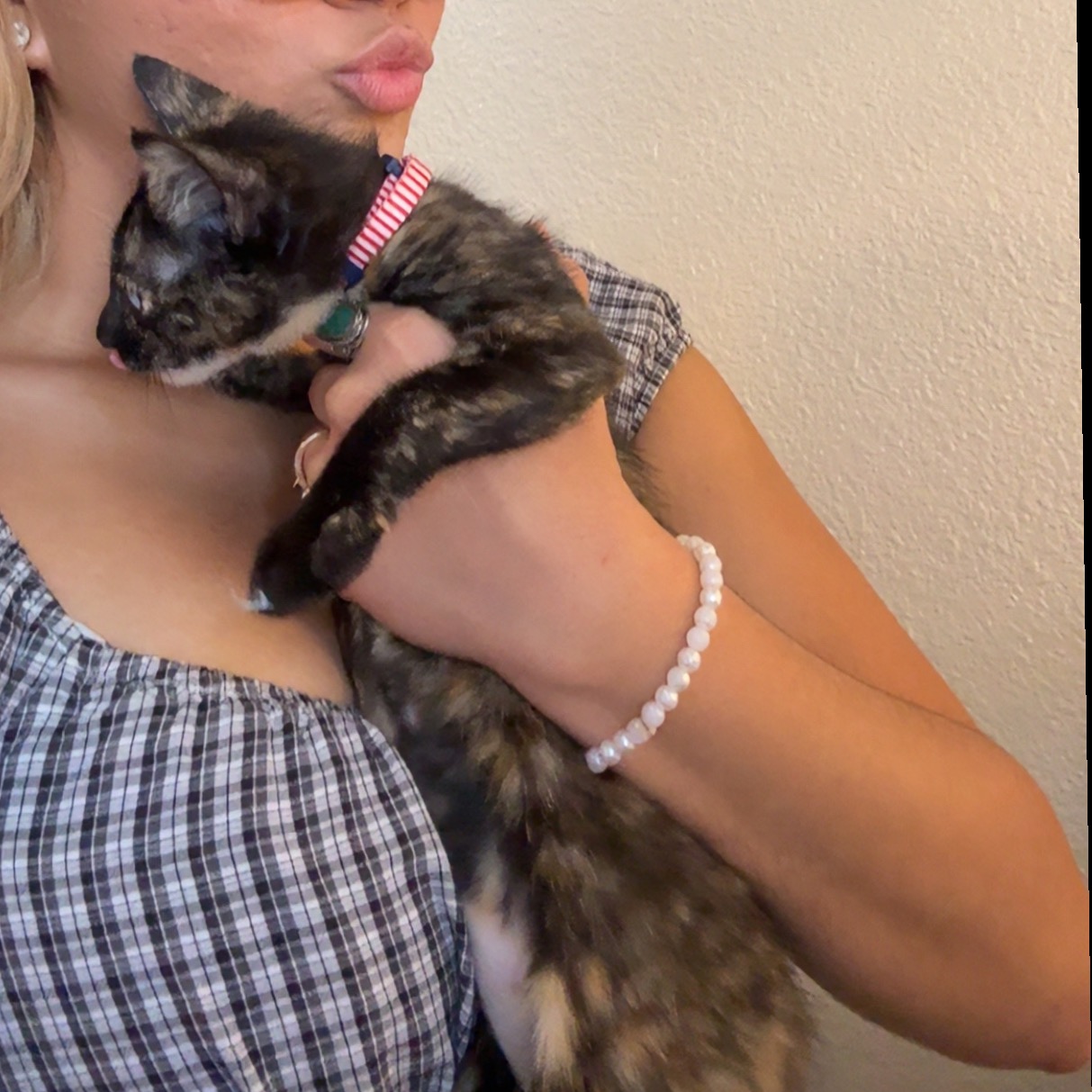 hawaiiankat67