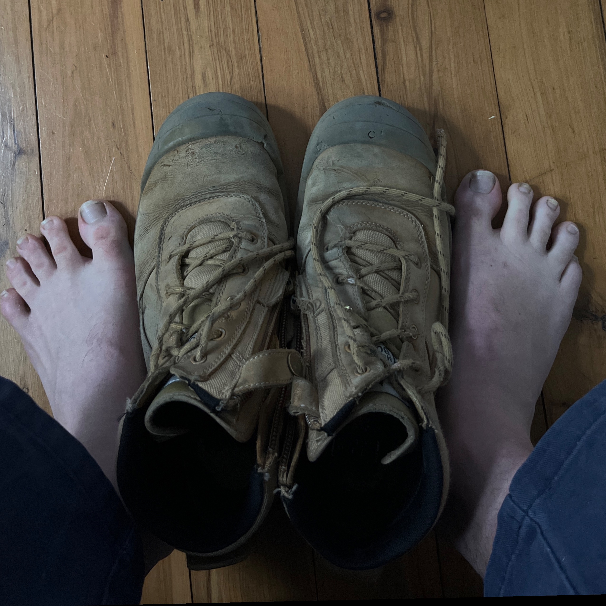daddytoe