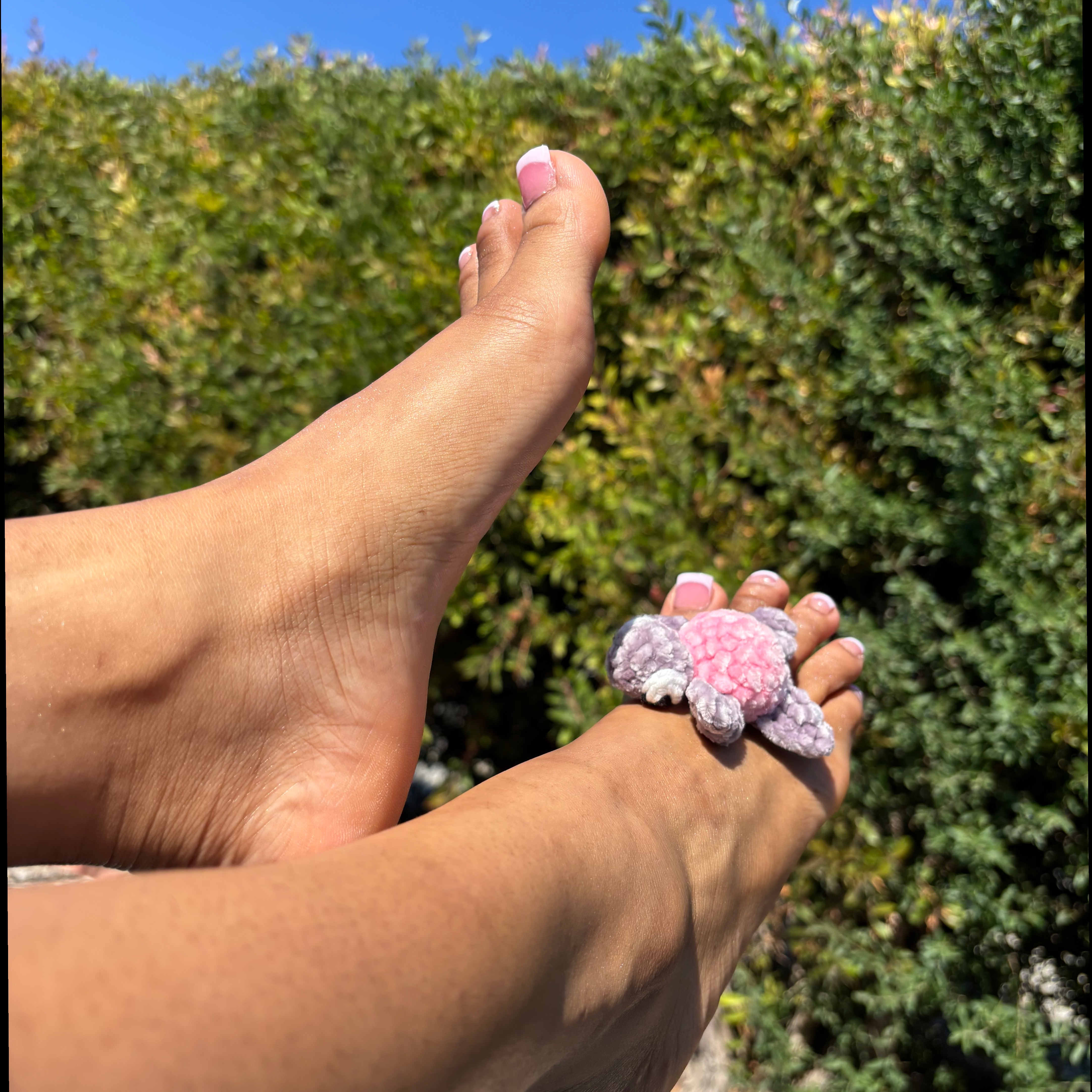 HoneyDipToes