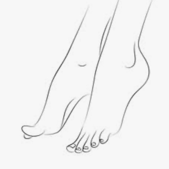 mstiptoes