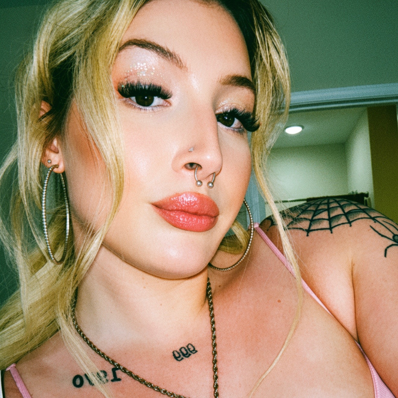 allycat6688
