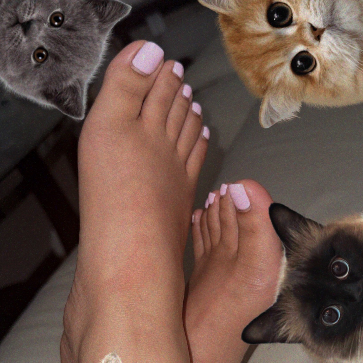 A_Cute_Toes
