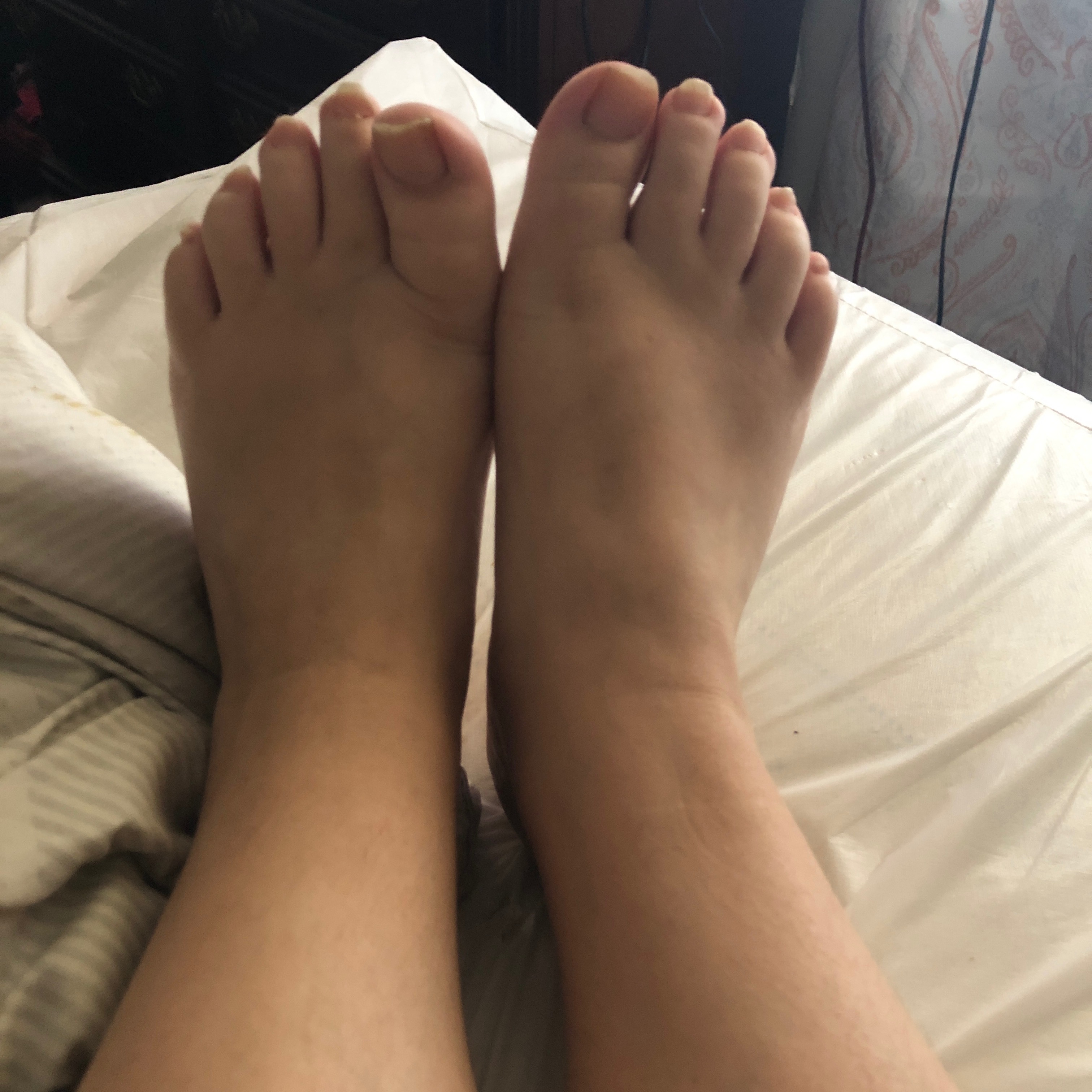 harli_rose220