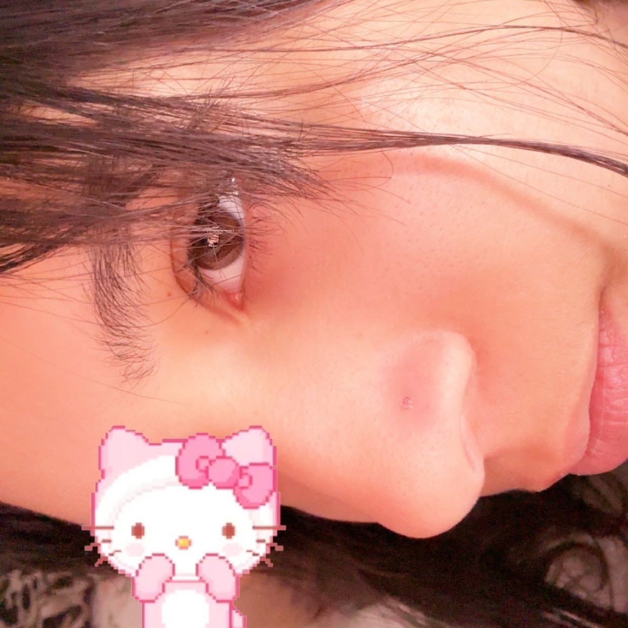 Fancy_nancy