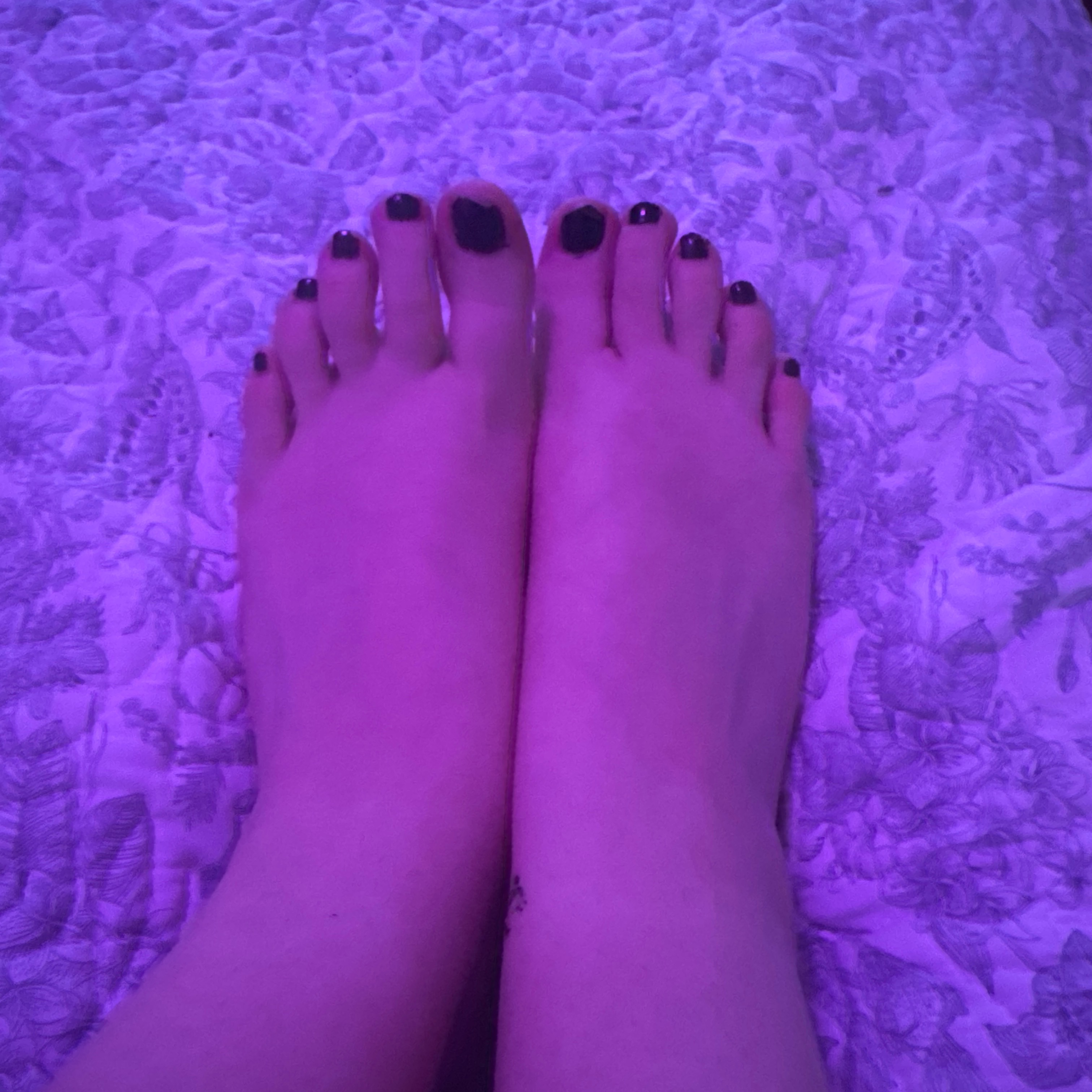 fresh_feet4u