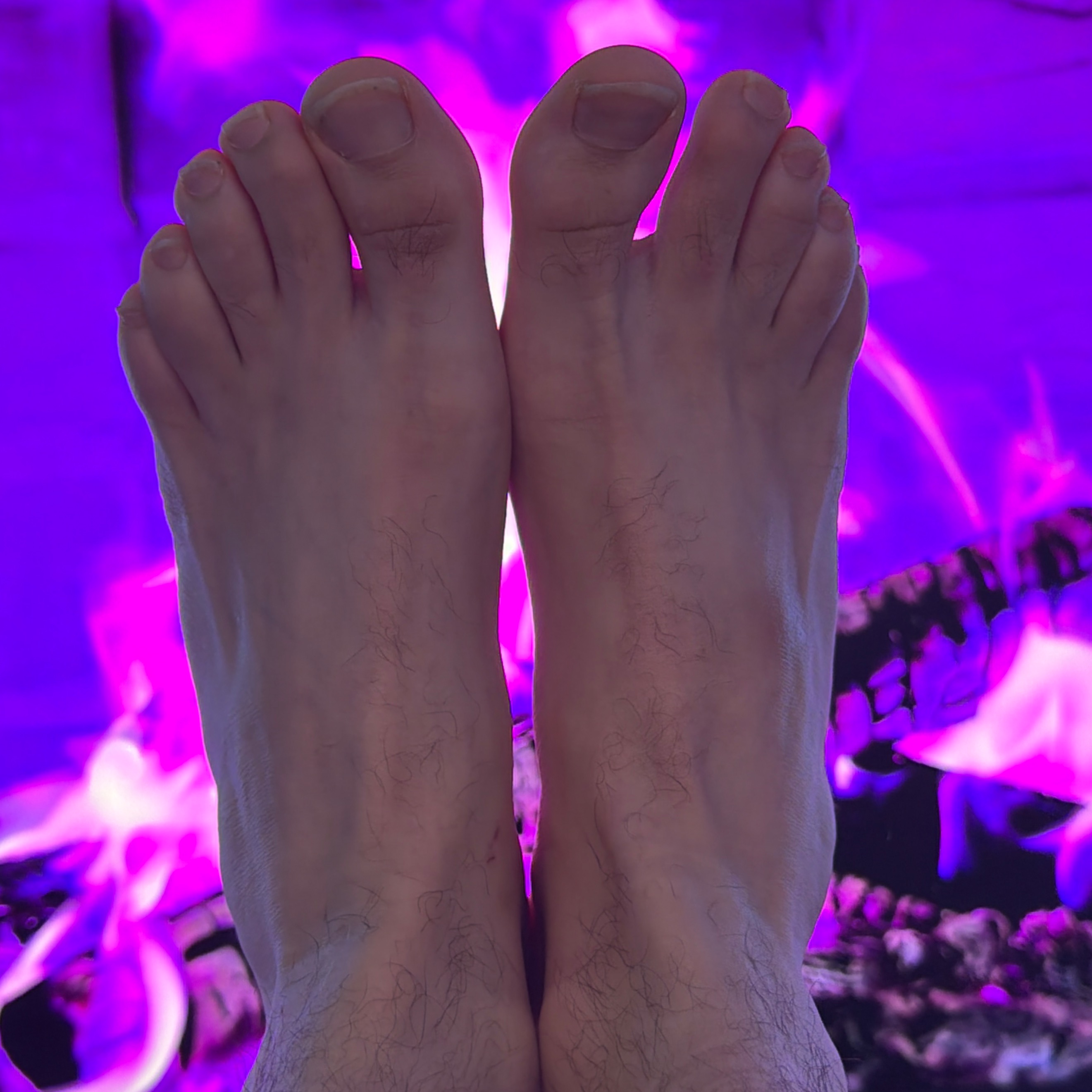 FootVogue