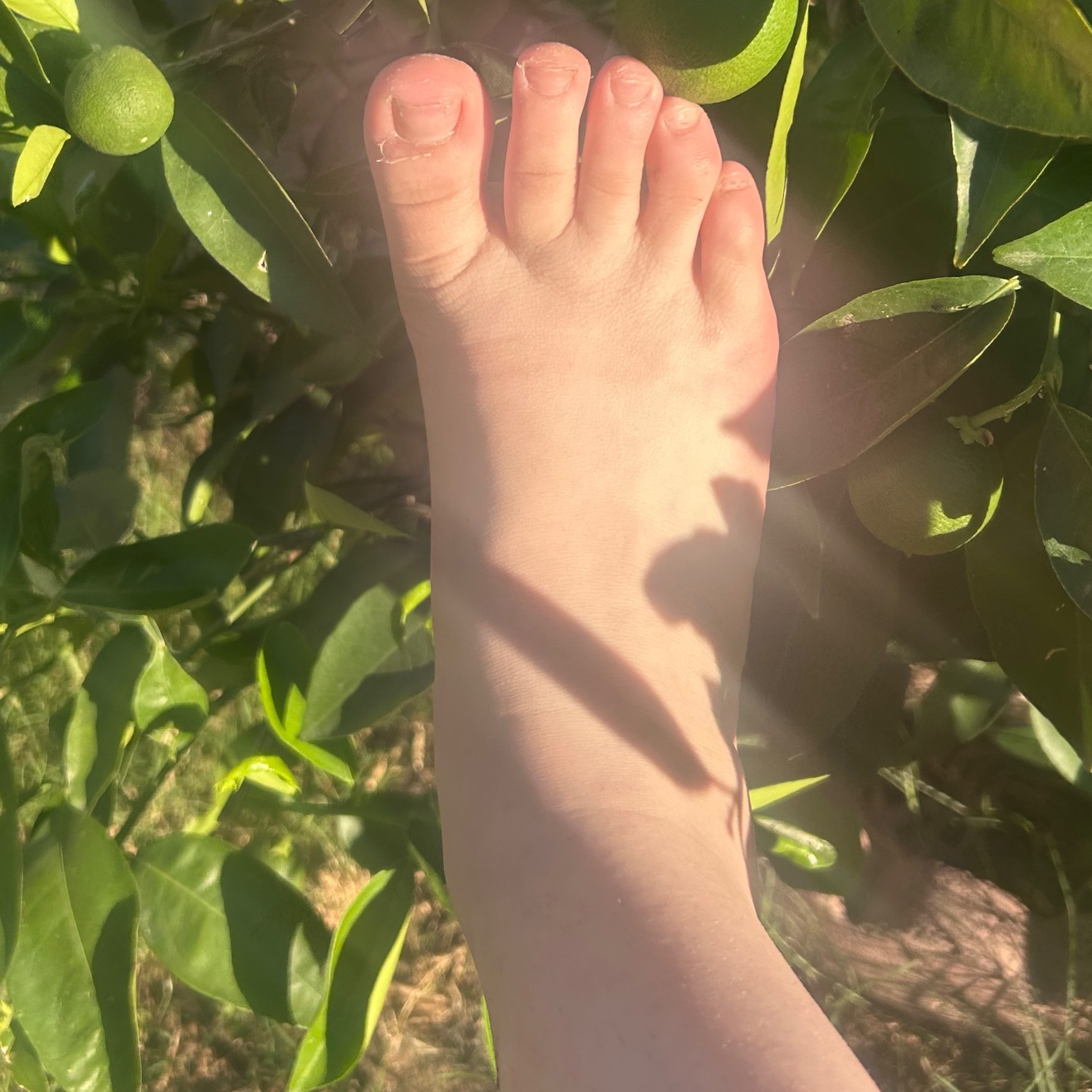 toebymcguire