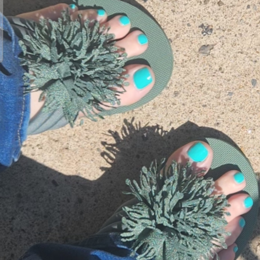 shytootsies