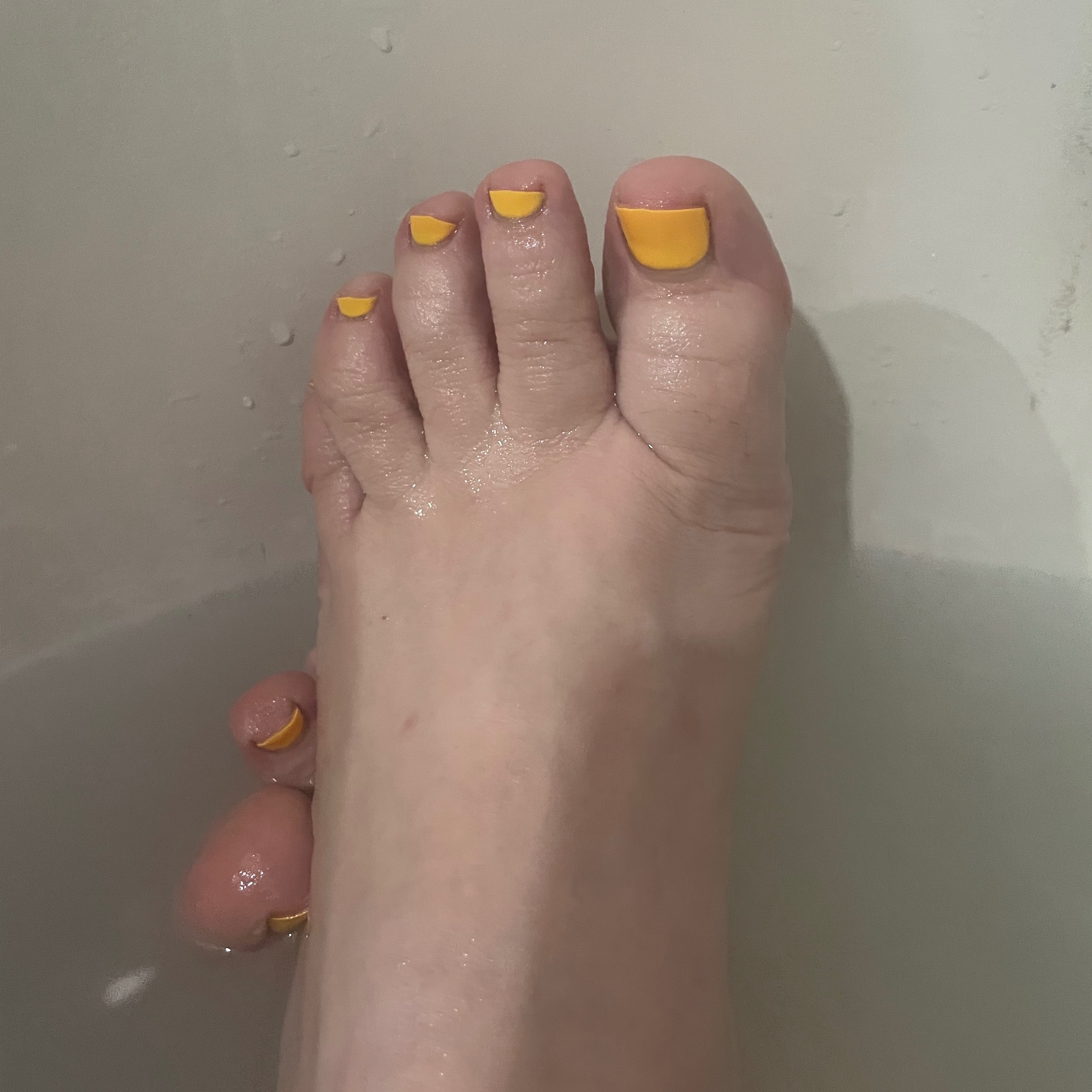 Prettypiggies1234