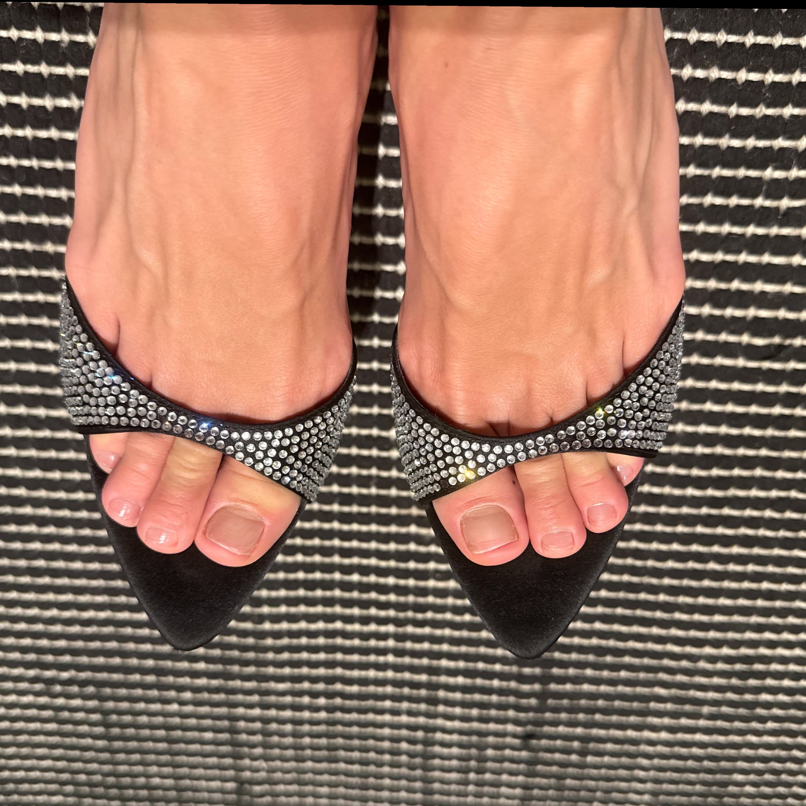 SilkyToesia