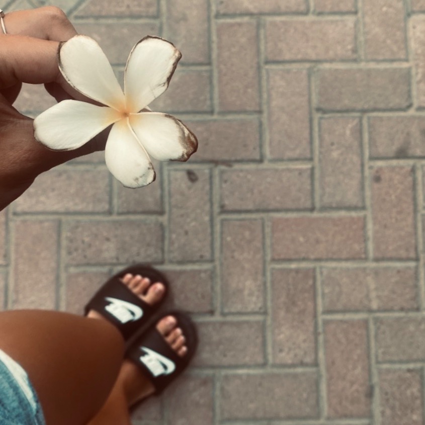Leonkaa_1