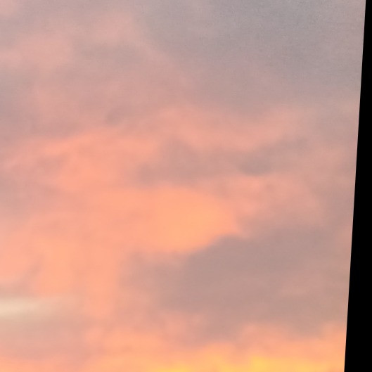 dany2029